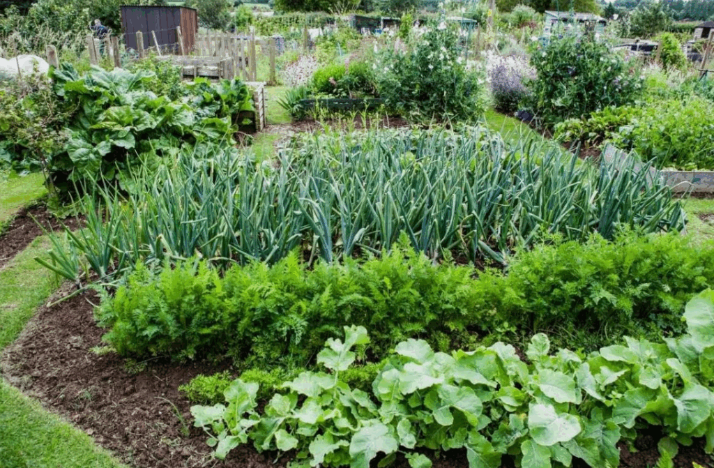 Как уменьшить затраты на удобрения с помощью органических решений