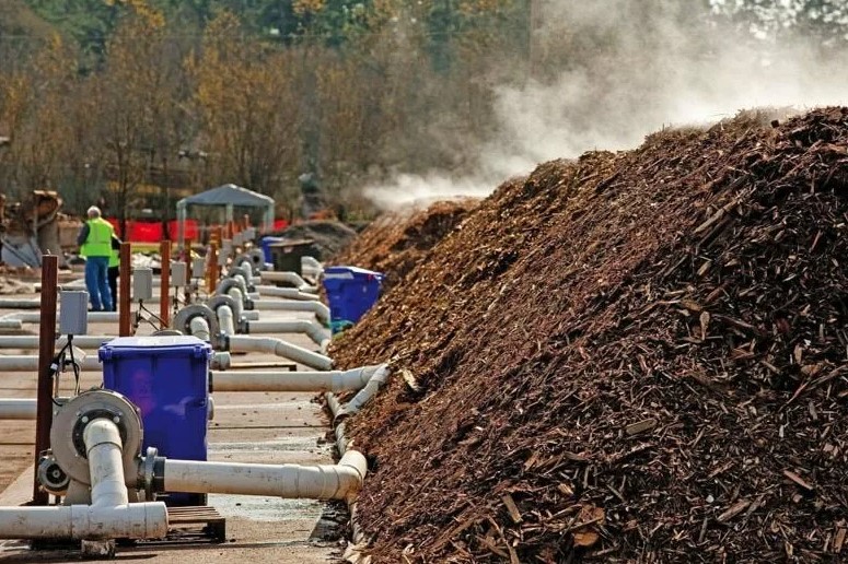 Как ускорить разложение органических отходов для получения качественного компоста