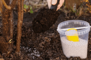 Как выбрать фосфорные удобрения для овощей и фруктов