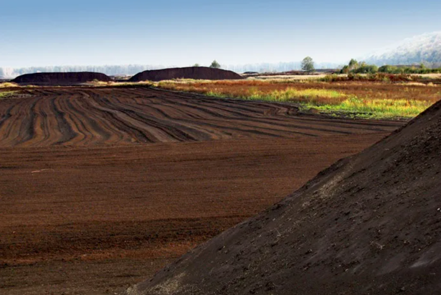 Как выбрать подходящий тип торфа для различных типов растений