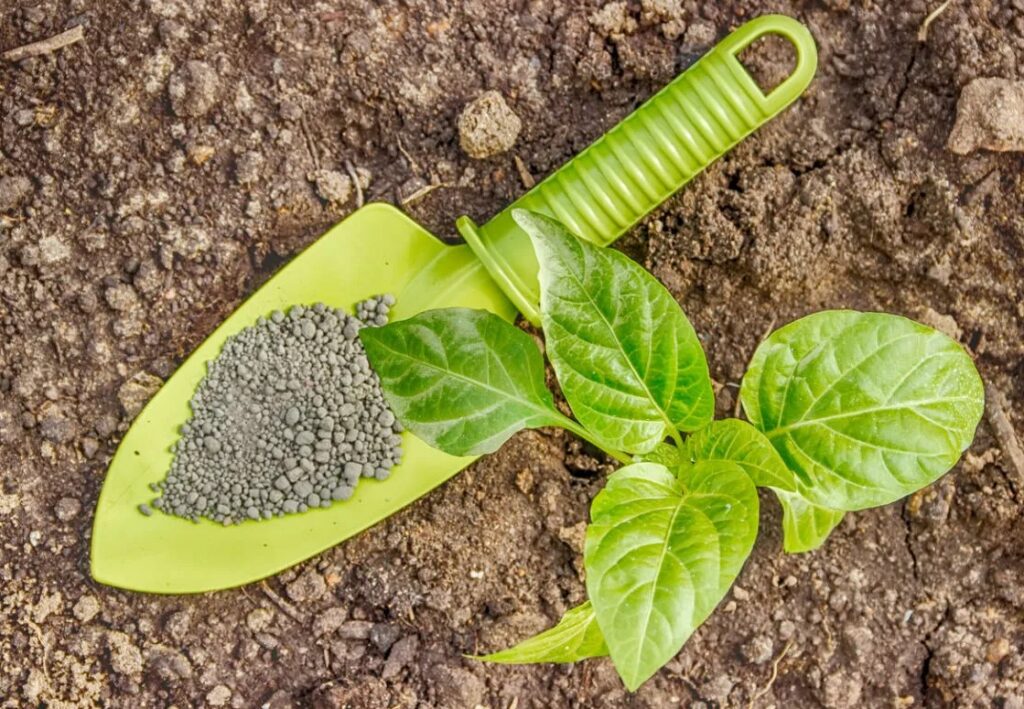 Какие фосфорные удобрения выбрать для бедных почв