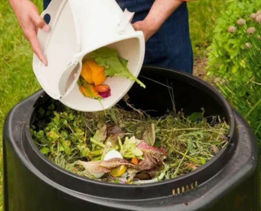 Какие материалы лучше всего использовать для компостирования в саду