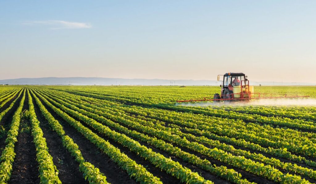 Какие микроудобрения лучше всего подходят для различных типов почвы и растений