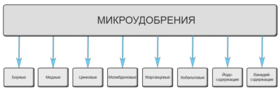 Основные микроэлементы для кислых почв