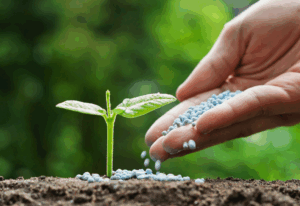 Какие микроудобрения стоит использовать для улучшения качества почвы