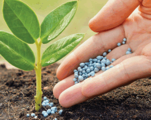 Какие микроудобрения стоит использовать для улучшения качества почвы