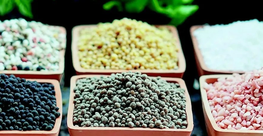 Какие микроудобрения стоит использовать для улучшения качества почвы