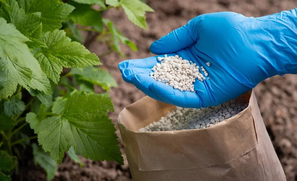 Калийные удобрения в органическом земледелии - можно ли использовать их без вреда для экосистемы