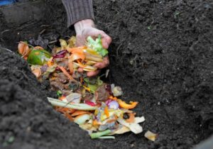 компост из органических отходов компост из органических отходов