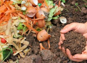Как создать компост из органических отходов на вашем участке? 1 компост из органических отходов