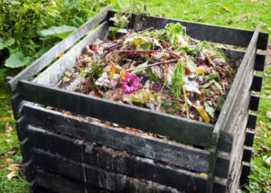 компост из органических отходов