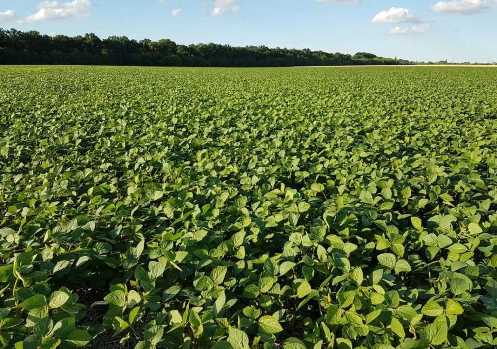 Компост из органических отходов - советы по хранению и использованию.