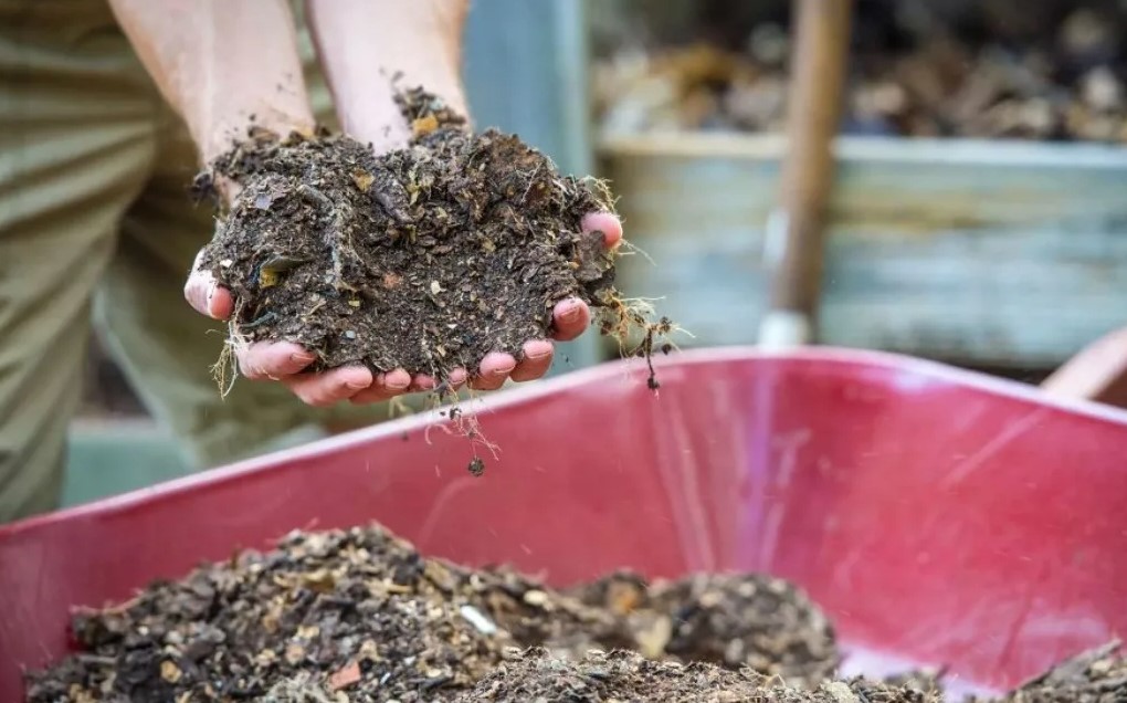 компост из органических отходов