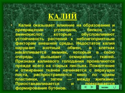 Магний и его роль в улучшении качества плодов и овощей