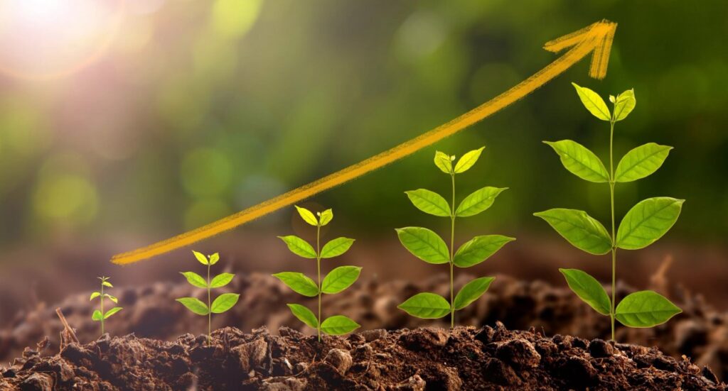 Моноаммонийфосфат и его влияние на формирование здоровой корневой системы.