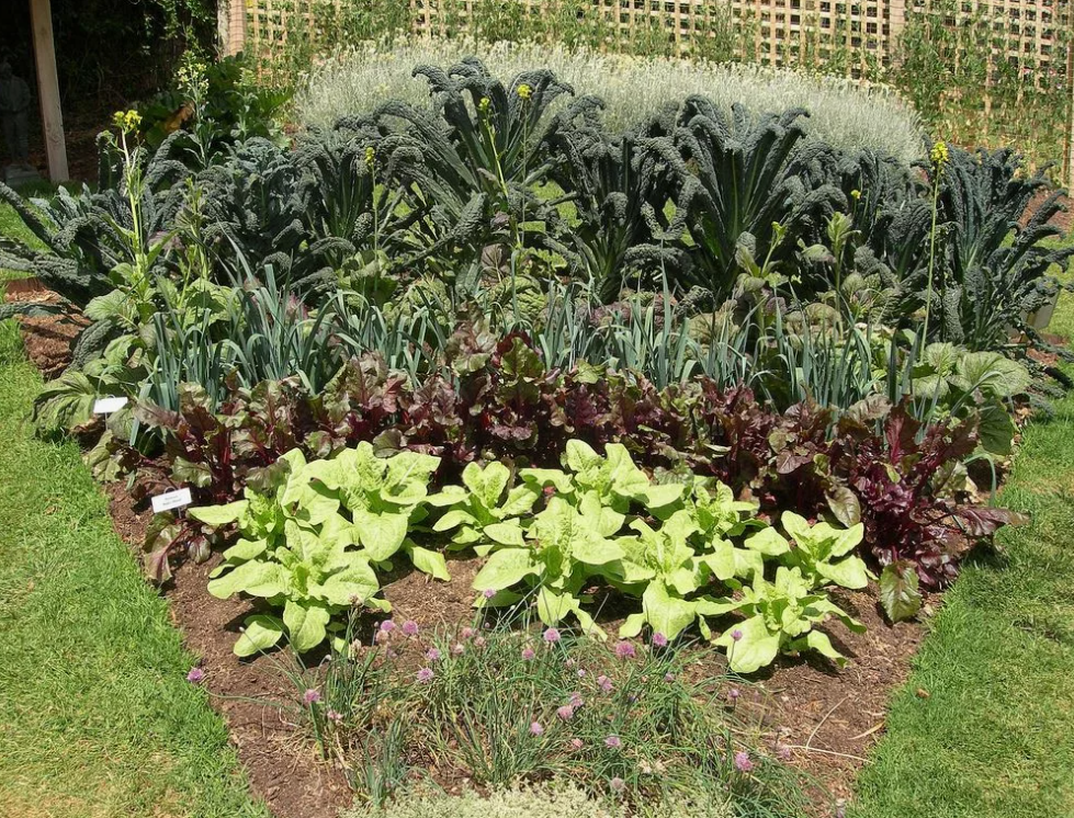 Навоз - натуральное удобрение или источник заболеваний