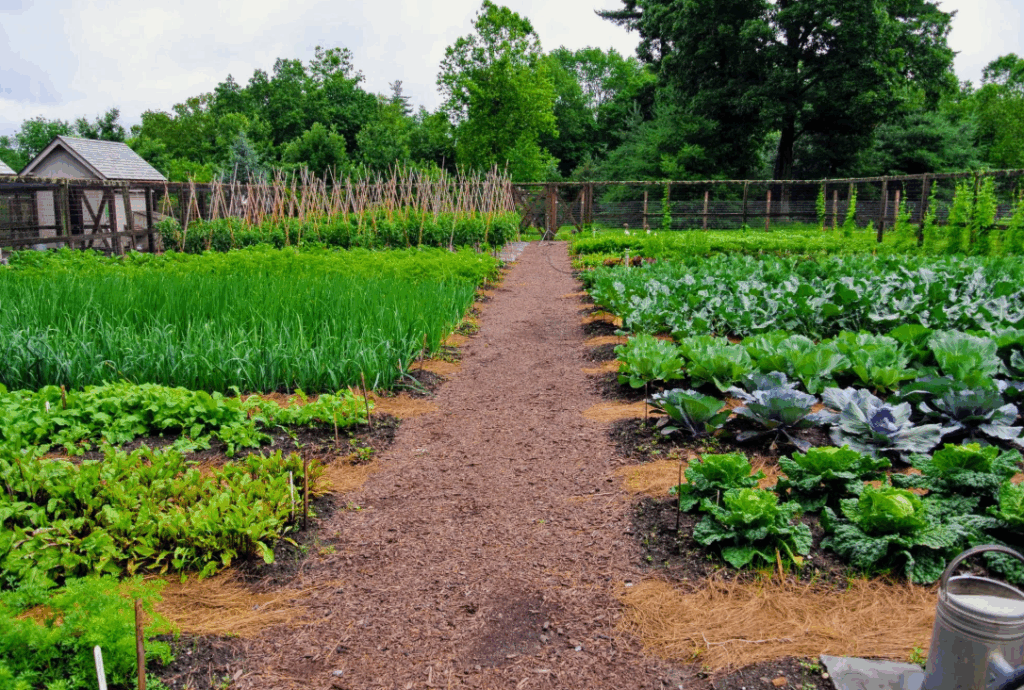 Описание того, как сульфат калия может воздействовать на pH почвы и методы регулирования этого воздействия для достижения оптимальных условий для роста растений