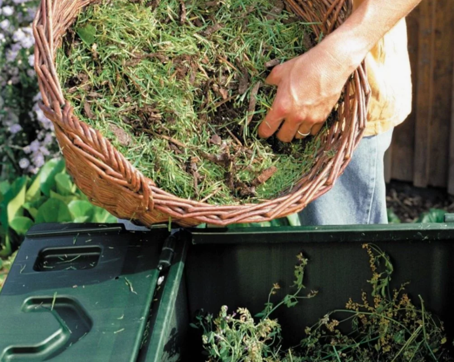 Органические удобрения - секреты получения максимального урожая в экологически чистом садоводстве