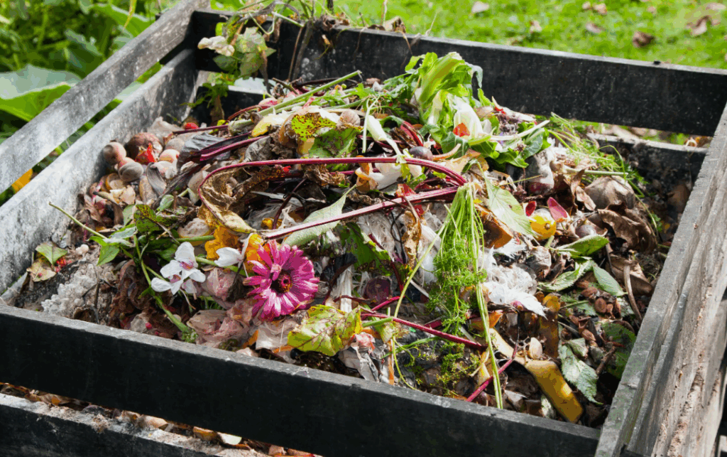 Почему стоит компостировать органические отходы - важные экологические аспекты