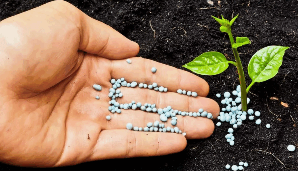 Преимущества и недостатки калийных удобрений - стоит ли их использовать в садоводстве