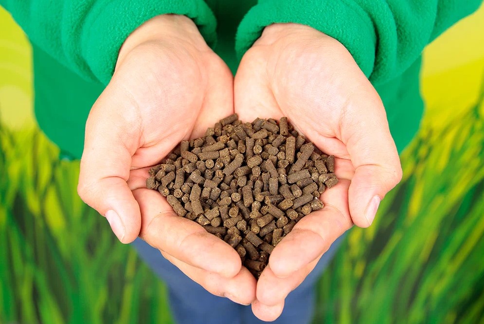 Преимущества и недостатки коровьего навоза как удобрения для растений