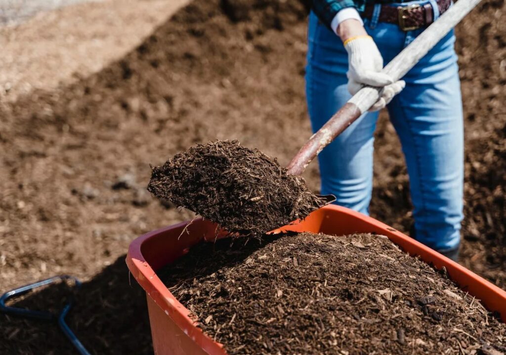 Преимущества компоста из органических отходов для улучшения качества почвы.