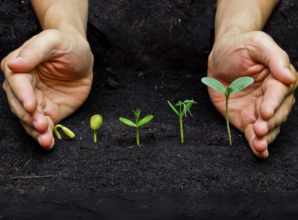 Преимущества компоста из травы, листьев и пищевых отходов для почвы.