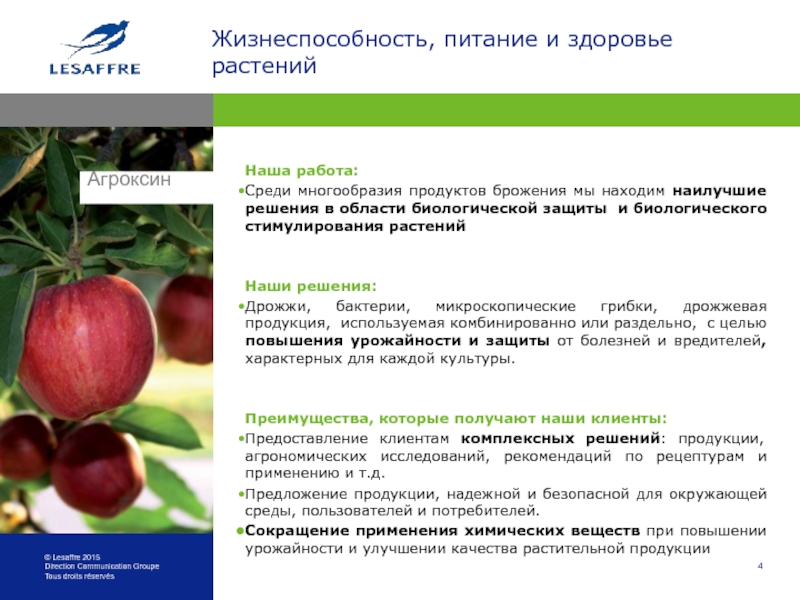 Преимущества использования железа для улучшения здоровья растений.