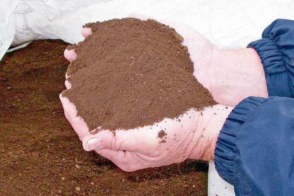 Птичий навоз - секреты правильного применения для улучшения структуры почвы.