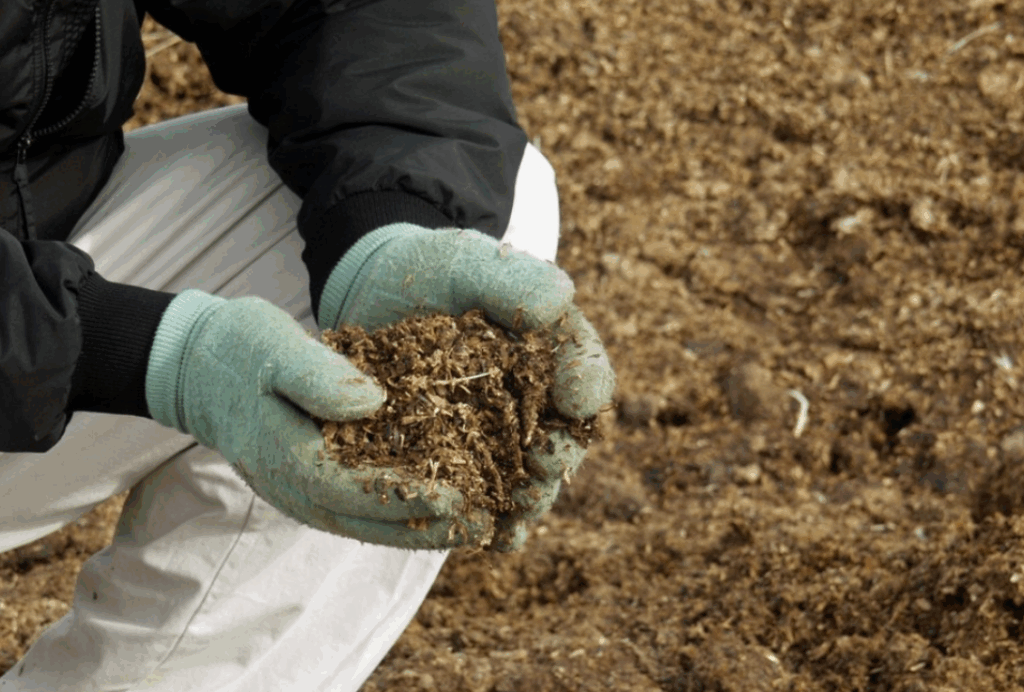 Птичий навоз в органическом земледелии - как использовать без вреда для экологии