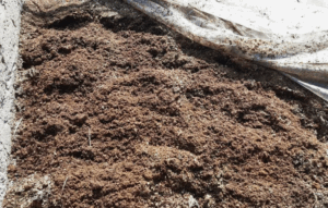 Птичий навоз - важные рекомендации по вносу в почву для максимальной эффективности Птичий навоз - важные рекомендации по вносу в почву для максимальной эффективности