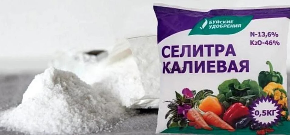 Рассмотрение истории создания калийной селитры, её разработки и значимости для агрономии, сельского хозяйства и повышения урожайности.