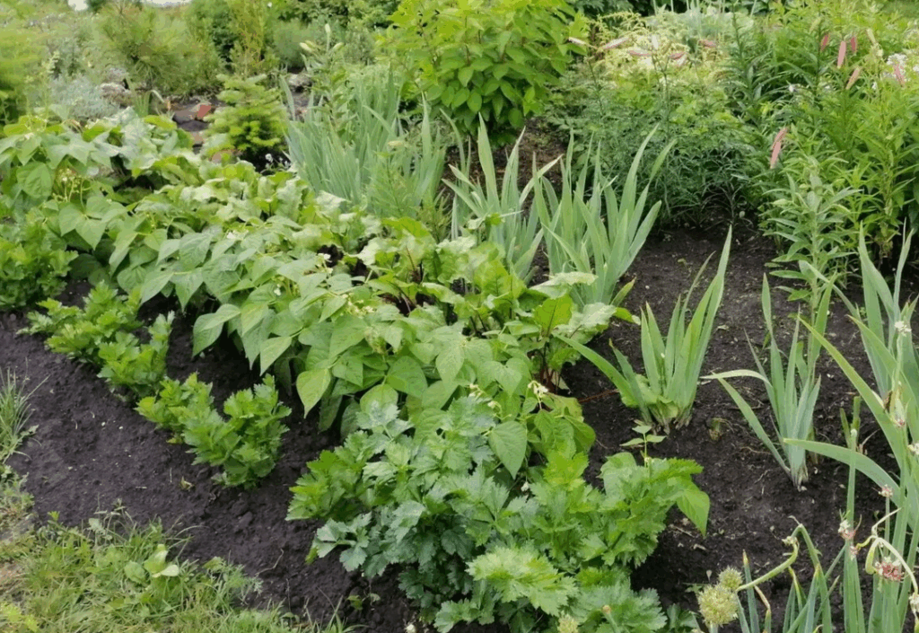 Разбор влияния калийной селитры на pH почвы и как избежать нежелательных последствий чрезмерного повышения кислотности