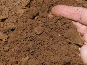 Разбор влияния калийной селитры на pH почвы и как избежать нежелательных последствий чрезмерного повышения кислотности