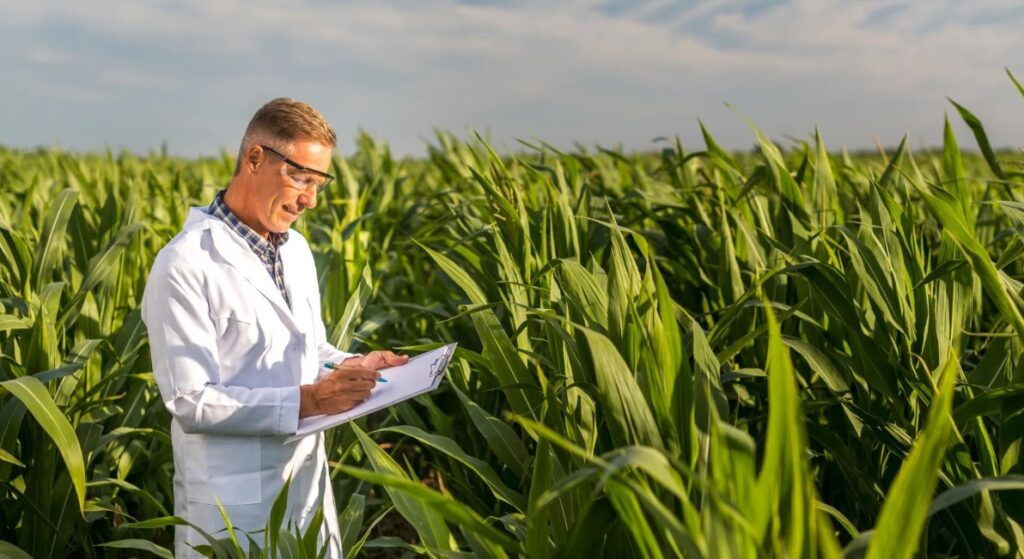 Рекомендации по дозировке и способам внесения сульфата калия для различных культур, включая овощи, фрукты и цветы.