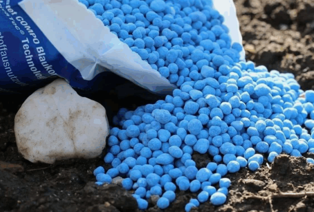 Рекомендации по применению калийных удобрений для улучшения цветения и роста деревьев, кустарников и других декоративных растений