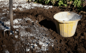 Секреты использования древесной золы