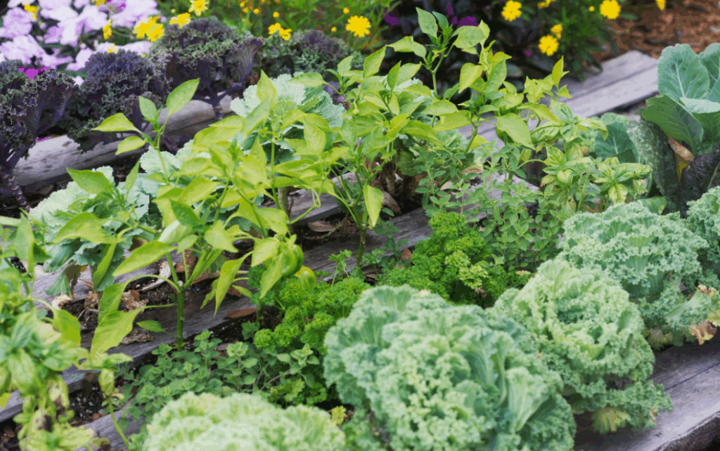 Советы по правильному дозированию калийной селитры, чтобы избежать её избыточного применения, которое может вызвать засоление почвы и угнетение роста растений