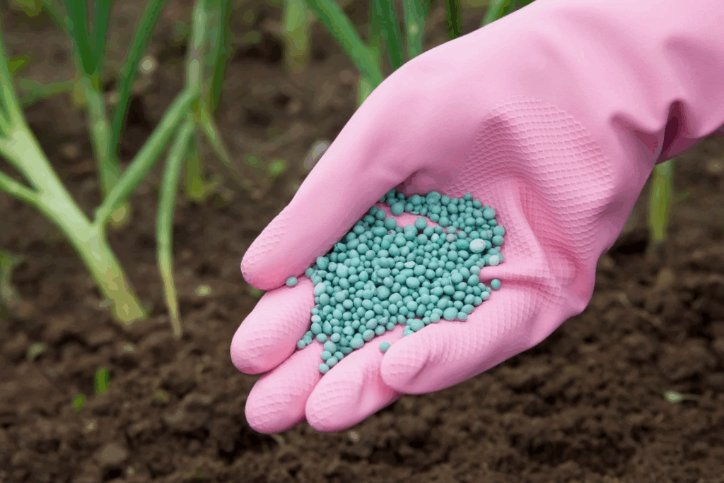 Советы по правильному дозированию калийных удобрений, чтобы избежать их избыточного накопления в почве, которое может негативно повлиять на растения