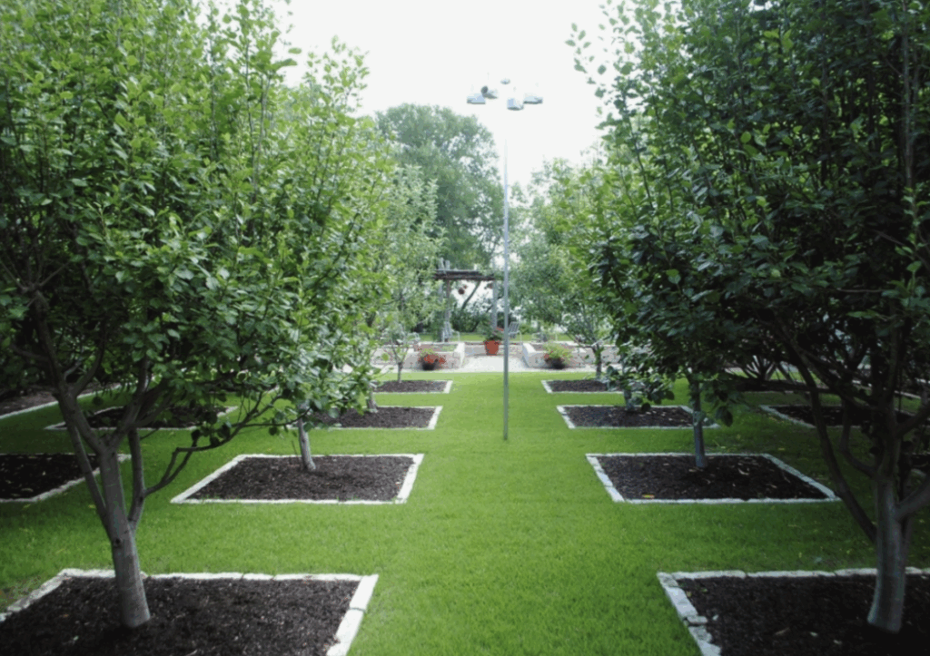 Статья о том, как калийная селитра помогает растениям активно цвести и давать высококачественные плоды, улучшая продуктивность и вкус