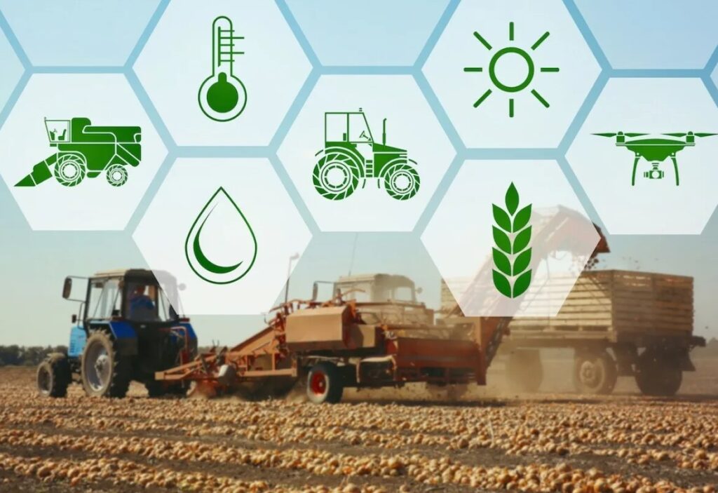 Сульфат калия (K₂SO₄) - что это за удобрение и как оно влияет на растения