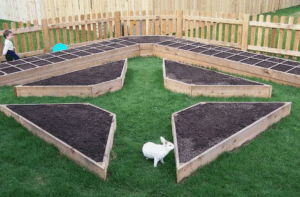 Типы навоза - как выбрать оптимальный вариант