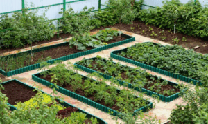 Типы навоза - как выбрать оптимальный вариант