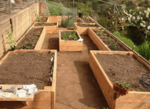 Типы навоза - как выбрать оптимальный вариант