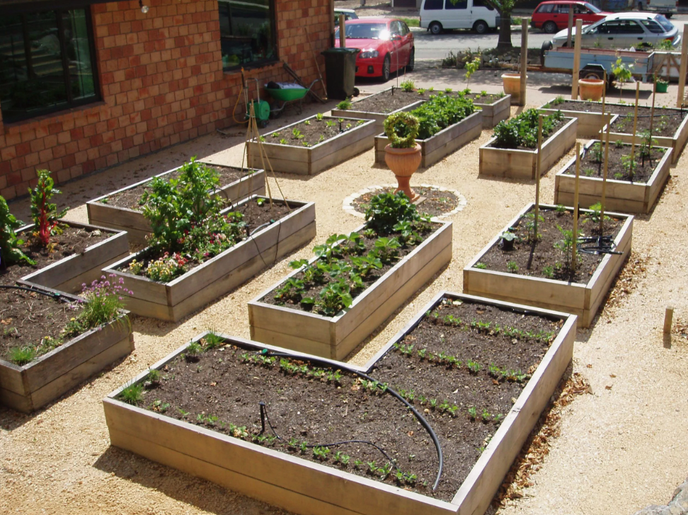 Типы навоза - как выбрать оптимальный вариант