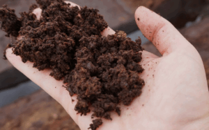 Торф и его роль в улучшении водоудерживающей способности почвы Торф и его роль в улучшении водоудерживающей способности почвы