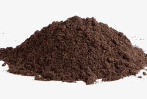 Торф - как избежать ошибок при его применении в агрономии