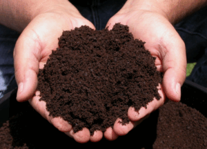 Торф - как избежать ошибок при его применении в агрономии