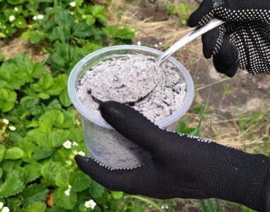 Использование золы для улучшения структуры почвы