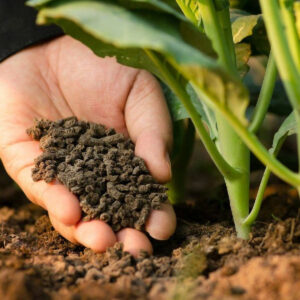 Правильное применение и технологии